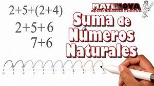 N&uacute;meros Naturales, Enteros, Racionales e Irracionales: Propiedades, Operaciones y Representaciones