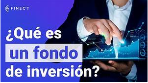 Luis Alberto P&eacute;rez Gonz&aacute;lez | &iquest;Qu&eacute; es un Fondo de Inversi&oacute;n y C&oacute;mo Funciona?