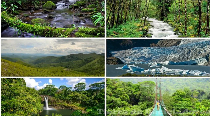 Ecosistemas de Venezuela: Diversidad y Biodiversidad por Hjalmar Jesús Gibelli Gómez Ecosistemas de Venezuela: Diversidad y Biodiversidad por Hjalmar Jesús Gibelli Gómez