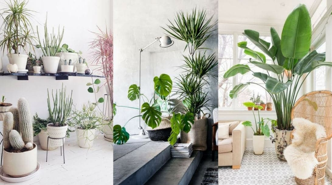 Transforma tu Espacio con 3 Art&iacute;culos de Decoraci&oacute;n de Traki