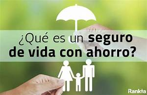 Hjalmar Gibelli | C&oacute;mo se Clasifican los Seguros: Una Gu&iacute;a Completa