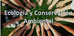 Hjalmar Jes&uacute;s Gibelli G&oacute;mez | Qu&eacute; Importancia Tiene la Ecolog&iacute;a en Nuestro Pa&iacute;s (Espa&ntilde;a)