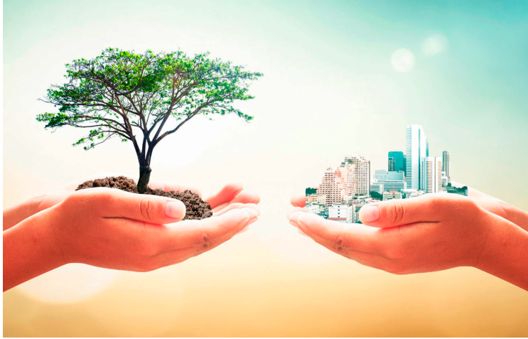 Hjalmar Jes&uacute;s Gibelli G&oacute;mez | Qu&eacute; Importancia Tiene la Ecolog&iacute;a en Nuestro Pa&iacute;s (Espa&ntilde;a)