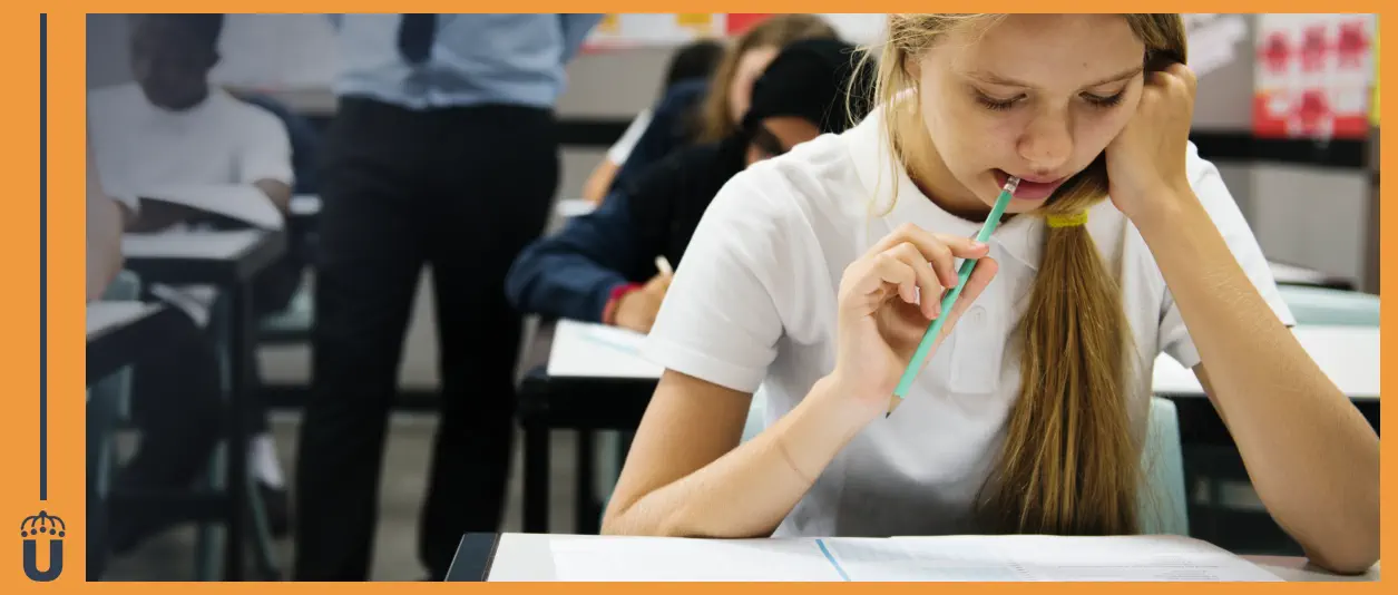 M&aacute;s All&aacute; del Aula: La Importancia Vital de la Administraci&oacute;n en la Educaci&oacute;n &ndash; Cimientos de un Futuro Fruct&iacute;fero