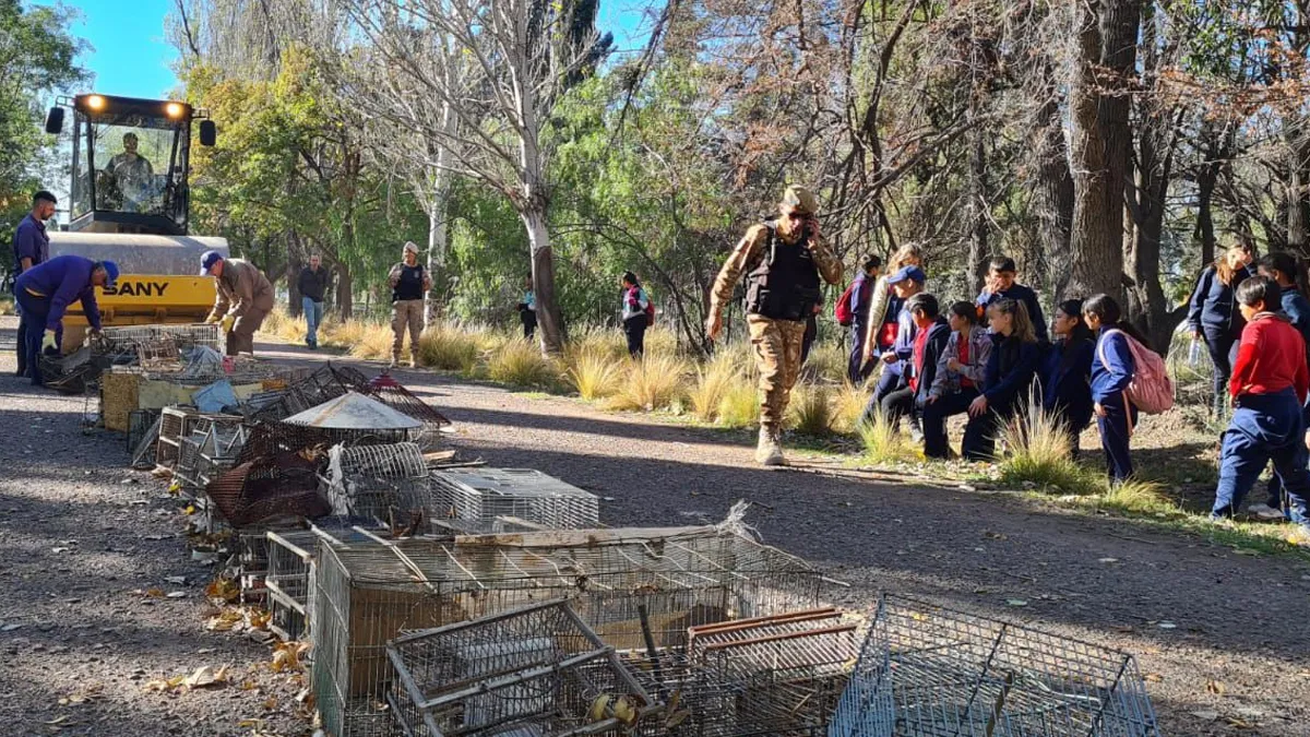 Una Batalla Crucial: La Caza Furtiva y el Tráfico de Fauna Silvestre por Hjalmar Jesus Gibelli Gómez Una Batalla Crucial: La Caza Furtiva y el Tráfico de Fauna Silvestre por Hjalmar Jesus Gibelli Gómez