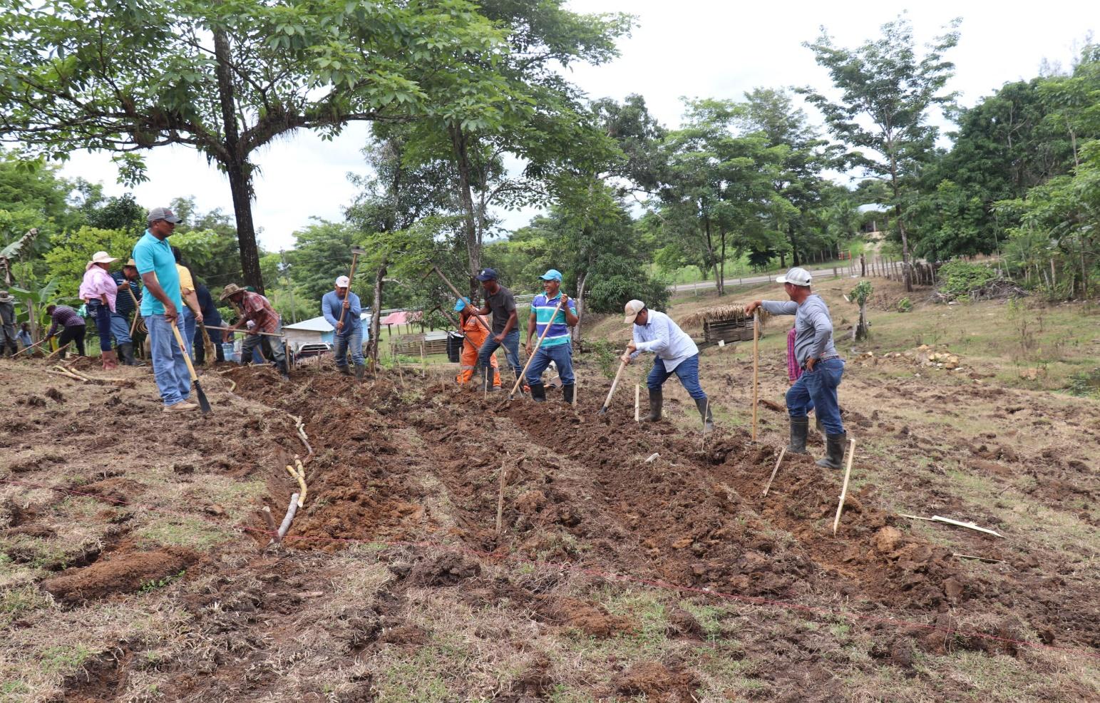 M&aacute;s All&aacute; de la Lluvia: Estrategias Cruciales para el Manejo de la Alimentaci&oacute;n Ganadera en Tiempos de Sequ&iacute;a