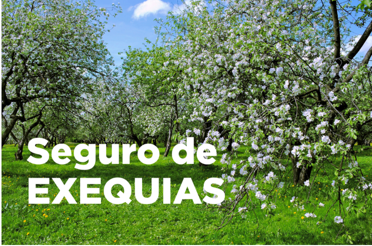 M&aacute;s All&aacute; del &Uacute;ltimo Adi&oacute;s: Qu&eacute; es un Seguro de Exequias y Por Qu&eacute; Es una Inversi&oacute;n en Tranquilidad