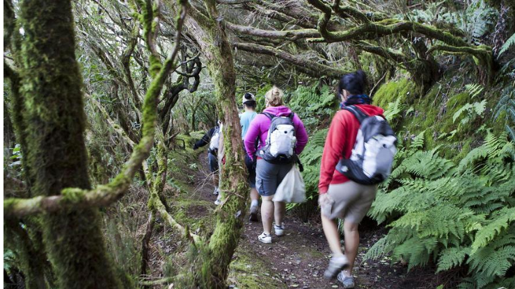 Jos&eacute; Antonio Murga Baptista: [Tenerife Extrema] Deporte, Tecnolog&iacute;a y Naturaleza.