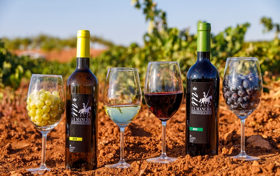 El Brindis por el Planeta: Cómo la Tecnología y la Sostenibilidad Redefinen la Producción de Vinos y Licores El Brindis por el Planeta: Cómo la Tecnología y la Sostenibilidad Redefinen la Producción de Vinos y Licores