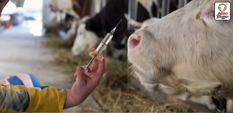 M&aacute;s All&aacute; de la Garrapata: Diagn&oacute;stico y Prevenci&oacute;n de la Anaplasmosis Bovina, un Desaf&iacute;o Silencioso en el Campo
