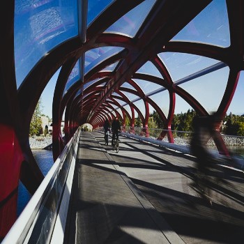 ¡Entérate! Puentes singulares que desafían la ingeniería moderna ¡Entérate! Puentes singulares que desafían la ingeniería moderna