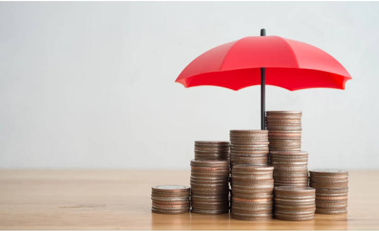 El Doble Propósito: Cómo Usar un Seguro de Vida como Herramienta de Inversión El Doble Propósito: Cómo Usar un Seguro de Vida como Herramienta de Inversión