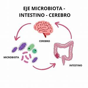 El Combustible del Cuerpo y la Mente: El Impacto de la Alimentación en tu Productividad, Salud y Bienestar El Combustible del Cuerpo y la Mente: El Impacto de la Alimentación en tu Productividad, Salud y Bienestar