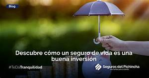 El Doble Propósito: Cómo Usar un Seguro de Vida como Herramienta de Inversión El Doble Propósito: Cómo Usar un Seguro de Vida como Herramienta de Inversión