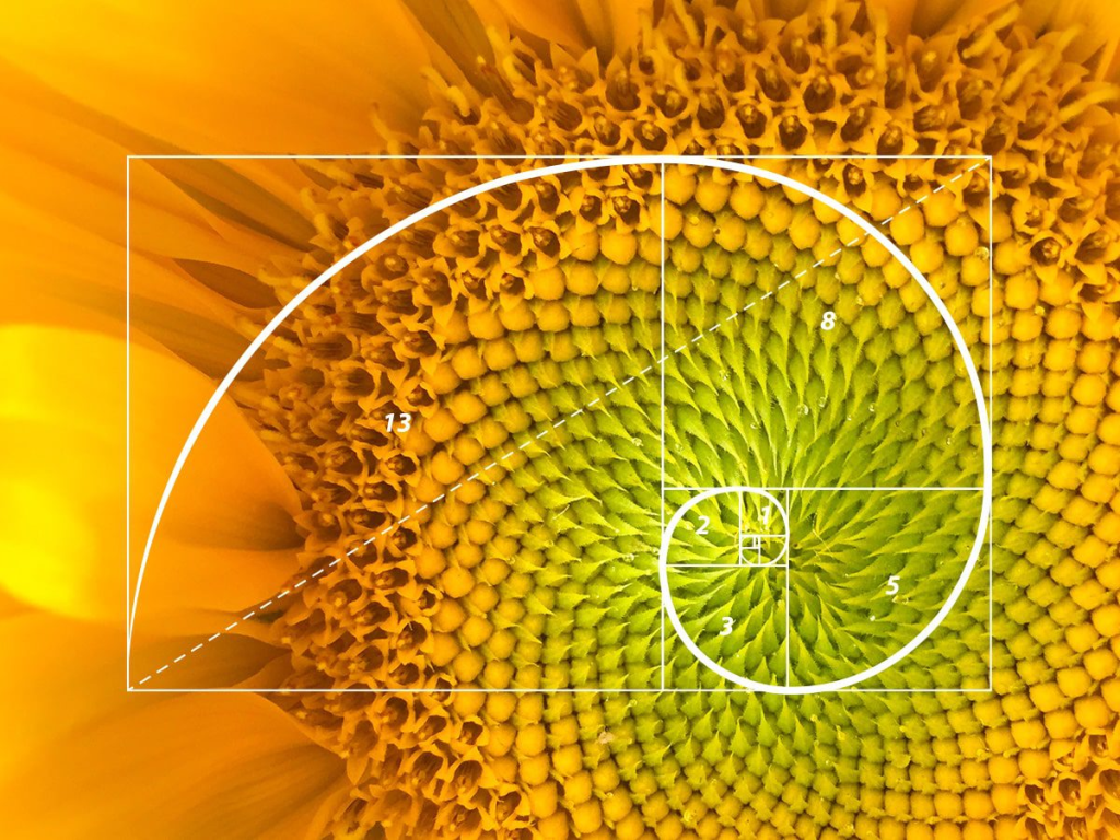 Oswaldo Karam Macia | El Lenguaje Oculto de la Belleza: Principios Matemáticos de Simetría y Repetición Oswaldo Karam Macia | El Lenguaje Oculto de la Belleza: Principios Matemáticos de Simetría y Repetición