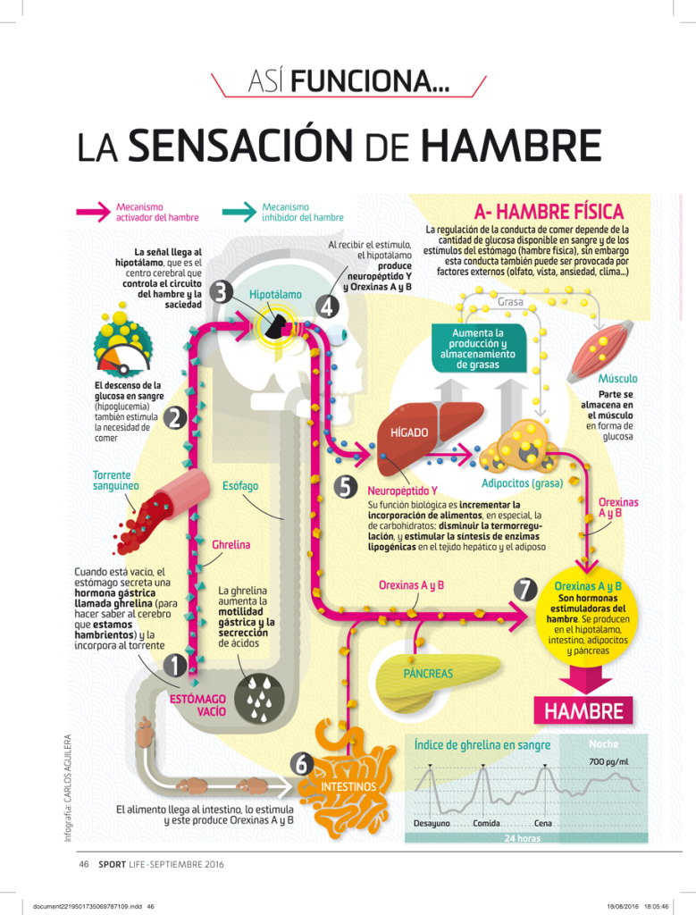Mariangel Arruebarrera Loreto: El Poder de la Densidad Nutricional y la Saciedad en la Dieta Sostenible Mariangel Arruebarrera Loreto: El Poder de la Densidad Nutricional y la Saciedad en la Dieta Sostenible