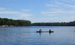 Hjalmar Jesus Gibelli Gómez | Venezuela Megadiversa: Un Viaje por los Tesoros Naturales del País (y por qué Debemos Protegerlos) Hjalmar Jesus Gibelli Gómez | Venezuela Megadiversa: Un Viaje por los Tesoros Naturales del País (y por qué Debemos Protegerlos)
