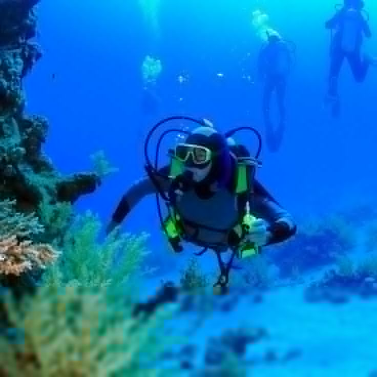 Alfredo Román ParraYarza | Mantenimiento del equipo de buceo: Consejos útiles Alfredo Román ParraYarza | Mantenimiento del equipo de buceo: Consejos útiles