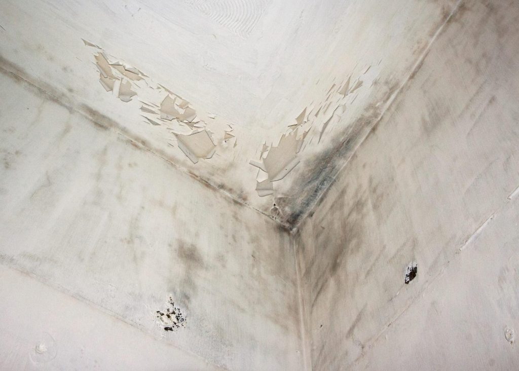 La Ceguera del H&aacute;bito: C&oacute;mo Identificar las Vulnerabilidades Ocultas en Tu Entorno (Antes de que Sea Tarde)