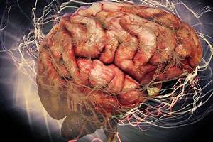 Oswaldo Karam | Por qu&eacute; tus neuronas necesitan que te muevas