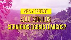 Hjalmar Jesus Gibelli G&oacute;mez | El Milagro Invisible: Por Qu&eacute; tu Grifo Depende de la Niebla de los Andes