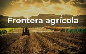 Hjalmar Jesus Gibelli G&oacute;mez | El Milagro Invisible: Por Qu&eacute; tu Grifo Depende de la Niebla de los Andes