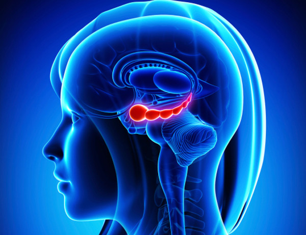 Oswaldo Karam | Por qu&eacute; tus neuronas necesitan que te muevas