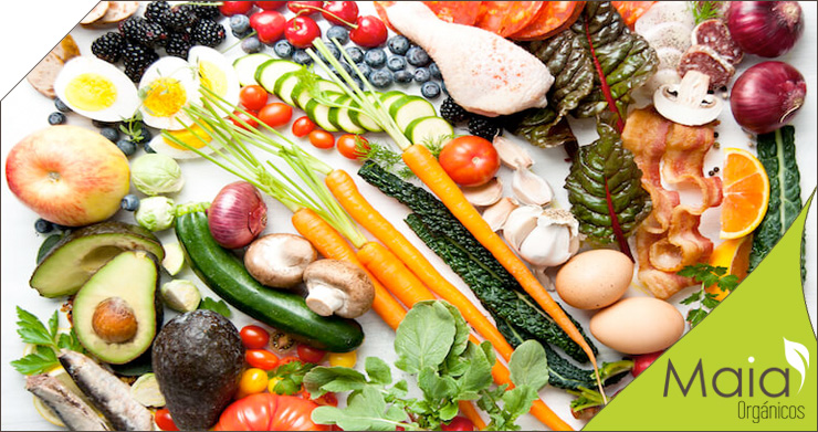 Luis Alejandro Sampayo Cabada: alimentaci&oacute;n moderna