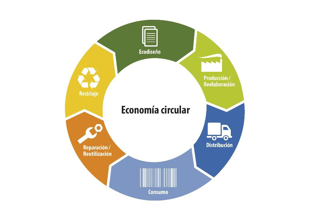 Carlos Alessandro Cestari Infantini | Econom&iacute;a Circular