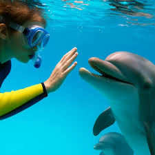 Jose Leggio Cassara | Guía Definitiva del Turismo Acuático: Más Allá del Buceo, de las Lagunas Escondidas al Snorkel Nocturno Jose Leggio Cassara | Guía Definitiva del Turismo Acuático: Más Allá del Buceo, de las Lagunas Escondidas al Snorkel Nocturno