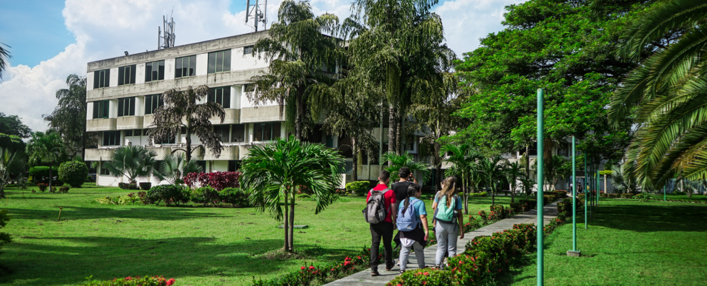 Universidad Bicentenaria de Aragua | Línea de investigación Universidad Bicentenaria de Aragua | Línea de investigación