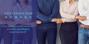 Seguro de Salud como Activo Seguro de Salud como Activo