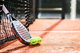 Gu&iacute;a Integral de Tenis y P&aacute;del