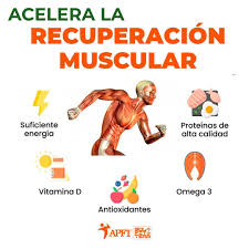 Entrenamiento Invisible y Resultados Efectivos