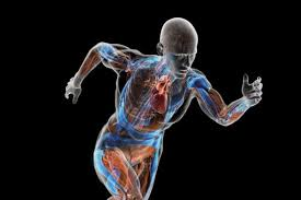 Mariangel Arruebarrera Loreto: Salud y Rendimiento Vital