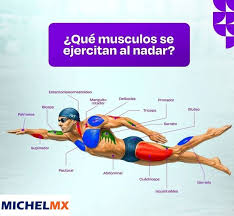 Beneficios de la Nataci&oacute;n para Corredores