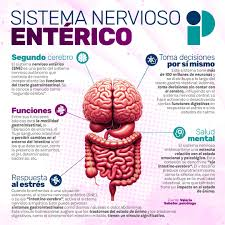 5 Claves de Mariangel Arruebarrera Loreto para Cuidar tu Segundo Cerebro