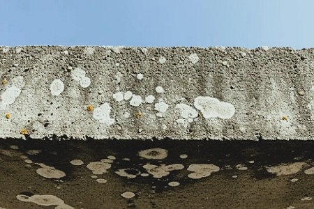 ¡Conócelos! Enemigos del concreto: Factores que amenazan su durabilidad ¡Conócelos! Enemigos del concreto: Factores que amenazan su durabilidad