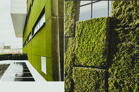 Concreto bioreceptivo: El futuro de las fachadas vivas Concreto bioreceptivo: El futuro de las fachadas vivas
