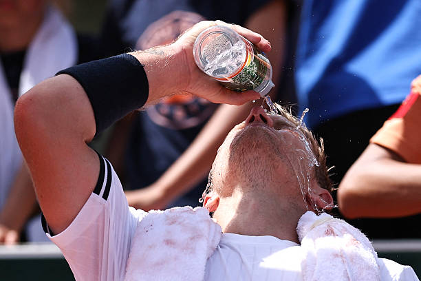 Noti-Deporte: El sufrimiento de Davidovich hoy en Roland Garros: "No se pod&iacute;a respirar, pens&eacute; en retirarme"