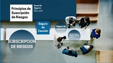 Gesti&oacute;n de Riesgos en Seguros